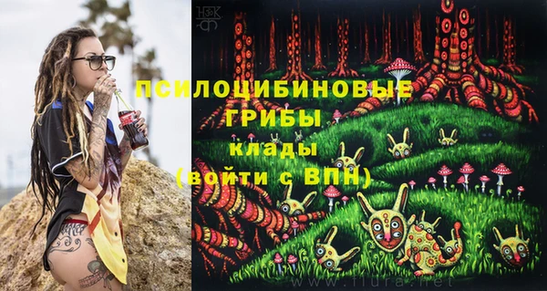 мдпв Арсеньев