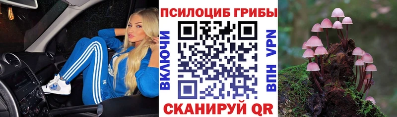 Псилоцибиновые грибы Psilocybe  Мариинск 